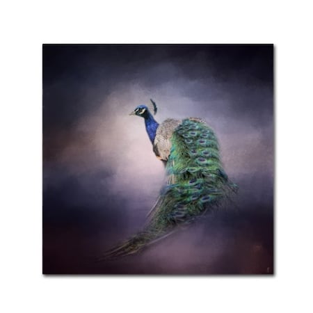 Jai Johnson 'Peacock 11' Canvas Art,24x24